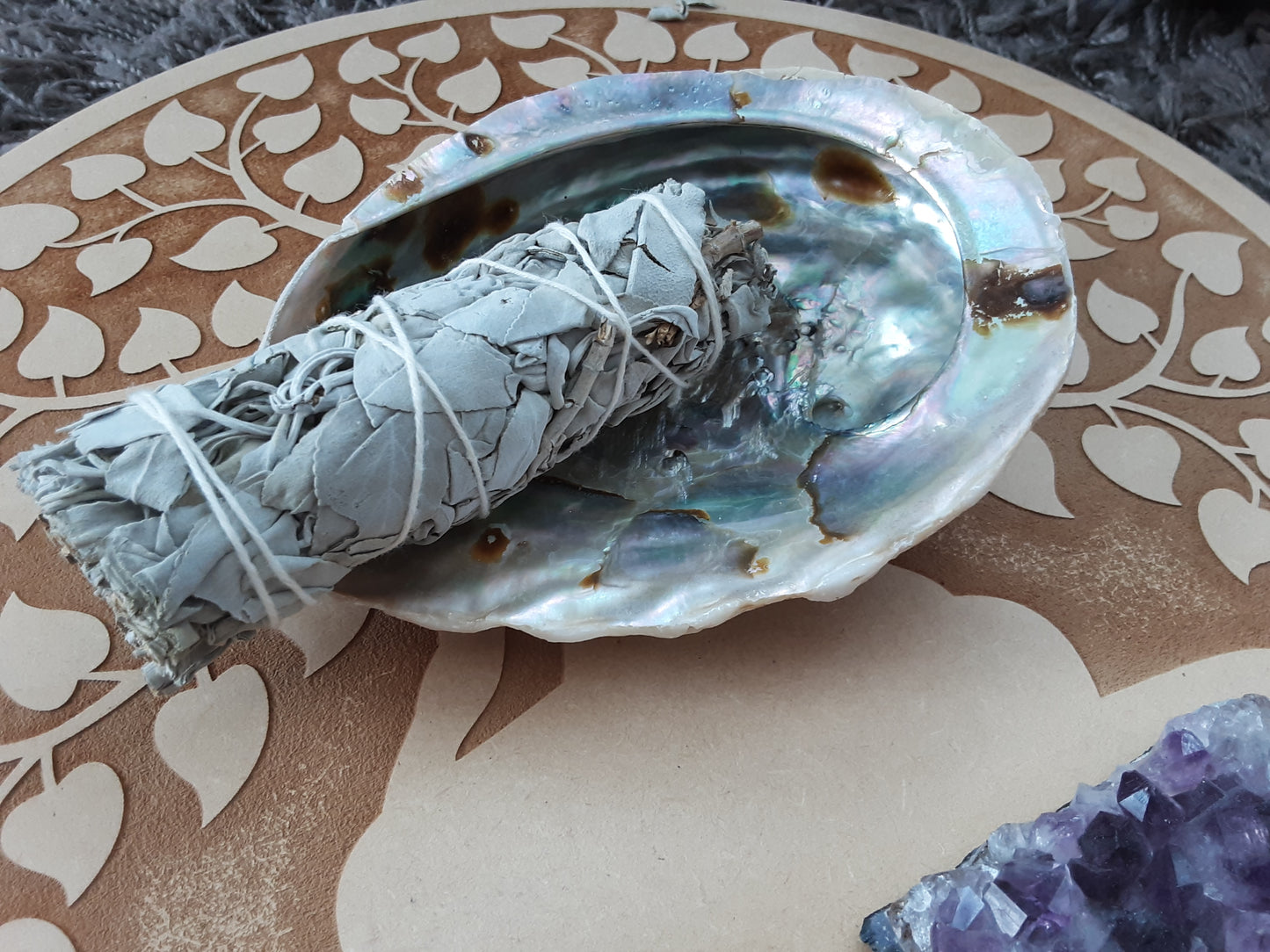 Coquille d’ormeau naturelle